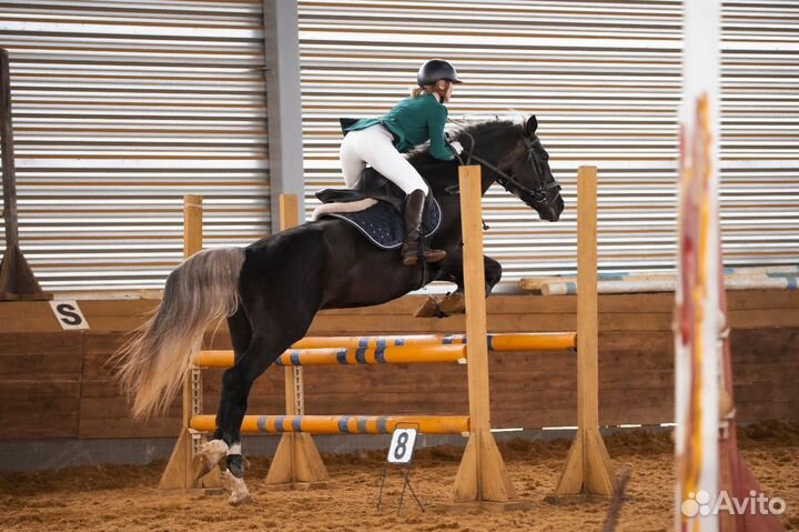 Лошадь в детский спорт