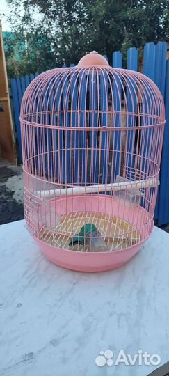 Клетка для попугая бу