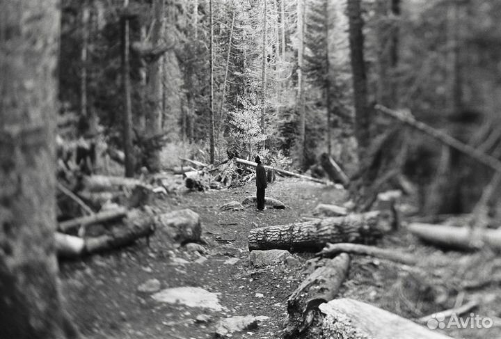 PC-E Micro Nikkor 45mm 2.8 tilt-shift