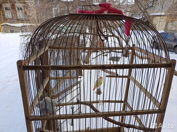 Клетка для птиц б/у 35*25*60 см