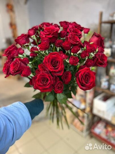 Цветы розы 101