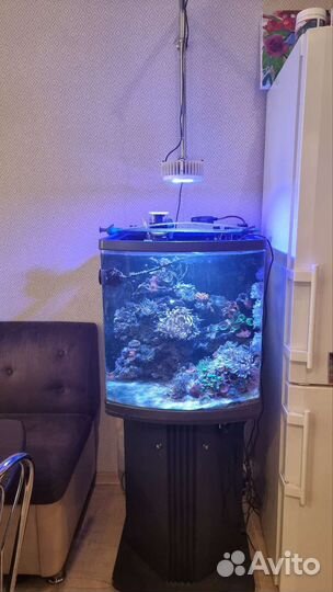 Морской аквариум 130 литров