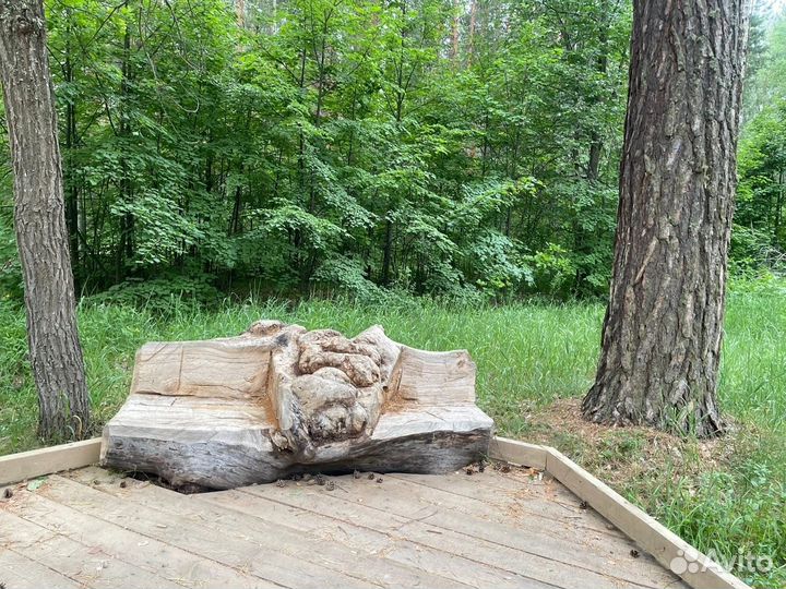 Автобусная экскурсия 