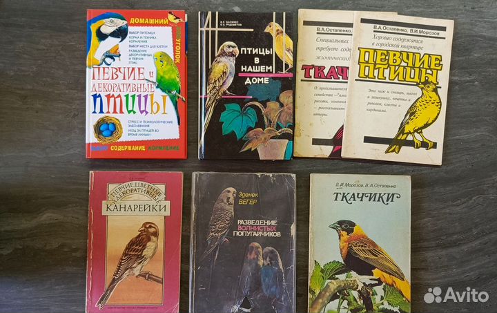 Певчие птицы