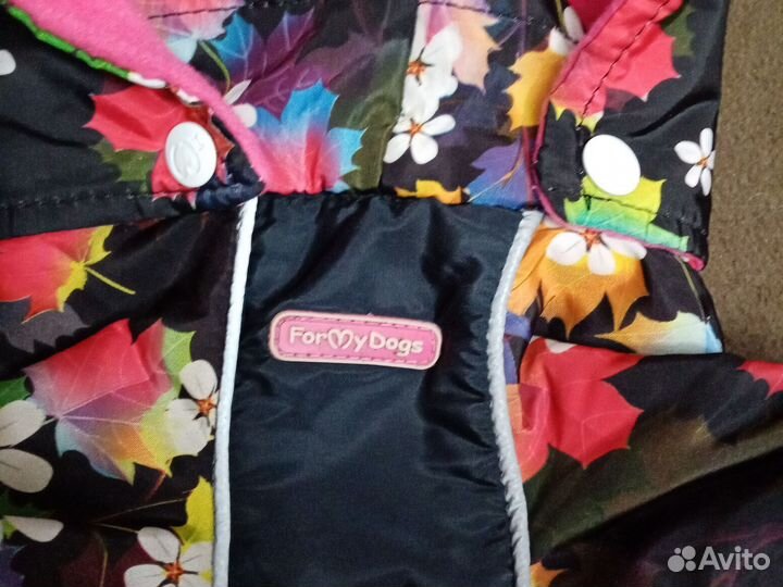 Одежда, обувь, переноска для собак