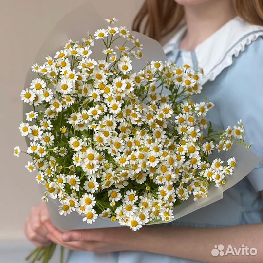Ромашки букеты доставка