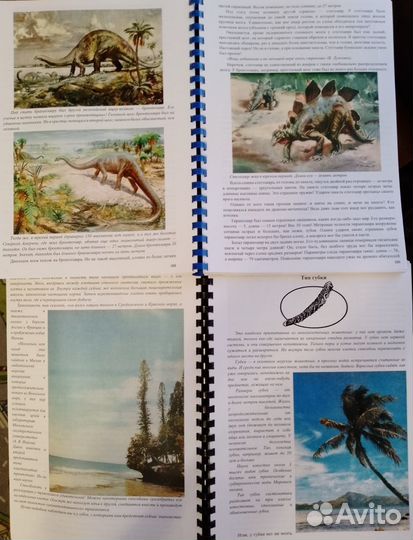 Бионаучпоп: Акимушкин, Докинз. Учебники Экология