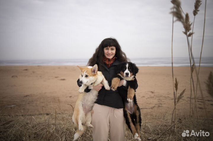 Кинолог. Зоопсихолог