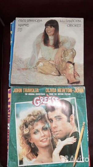 Вилиловые пластинки