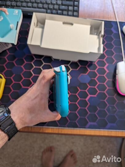 Nintendo switch lite