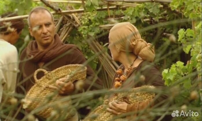 Ноев Ковчег подлинная история документальный фильм