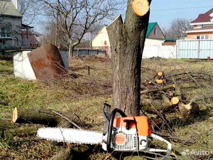 Вывоз мусора, спил деревьев