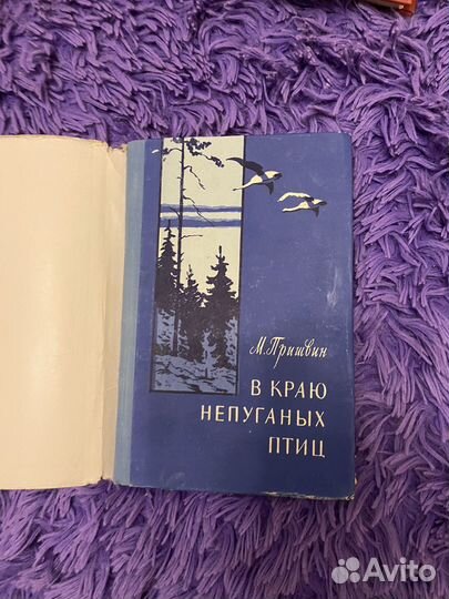 В краю непуганных птиц