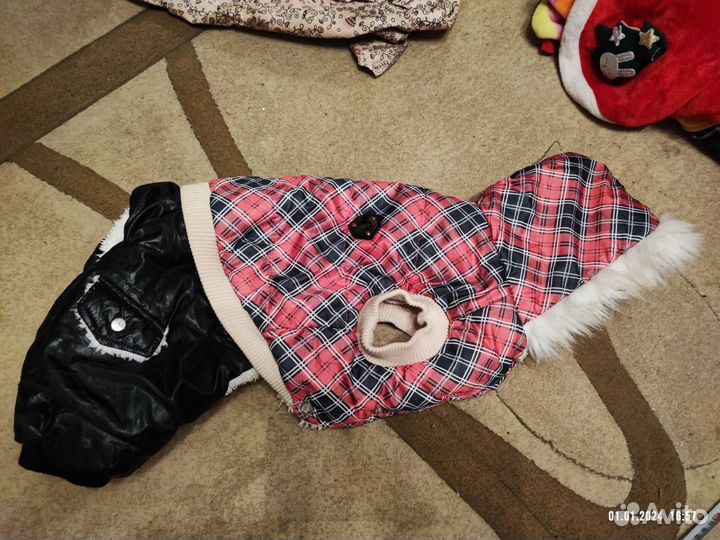 Комбинезоны для собак