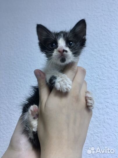 Трудная судьба