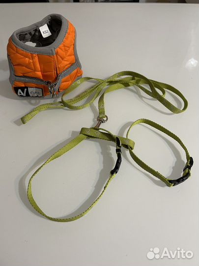 Шлейка для маленькой собаки