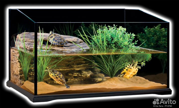 Аквариумы и террариумы в комплекте: от 14л до 300л