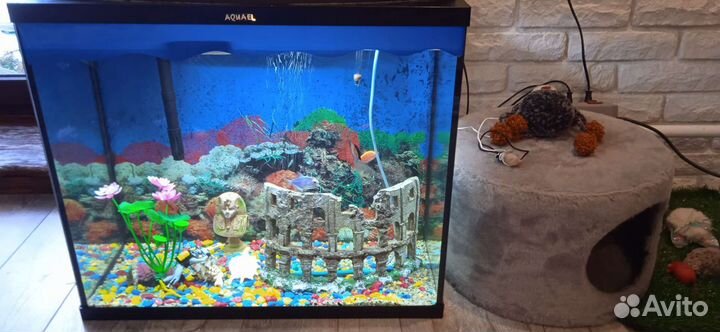 Аквариум на 90 литров. Акваэль