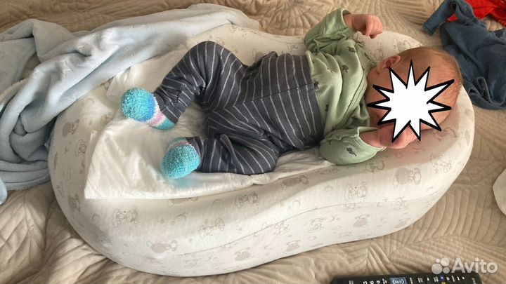 Продам кокон зевушка