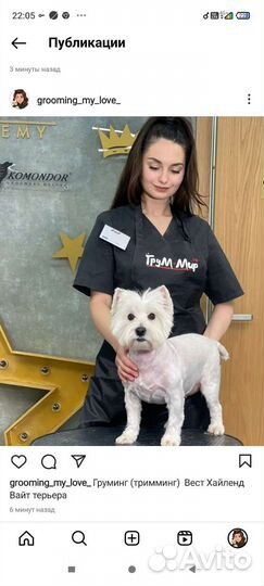 Грумер село Бестужевское