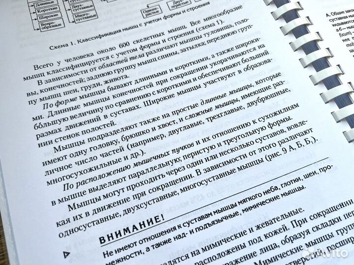 Атлас профессионального массажа