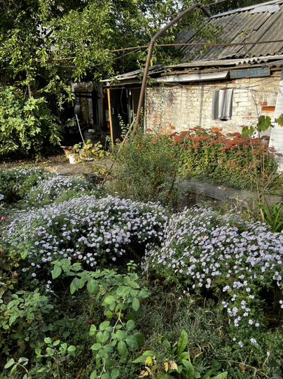 Дом 50 м² на участке 4 сот.