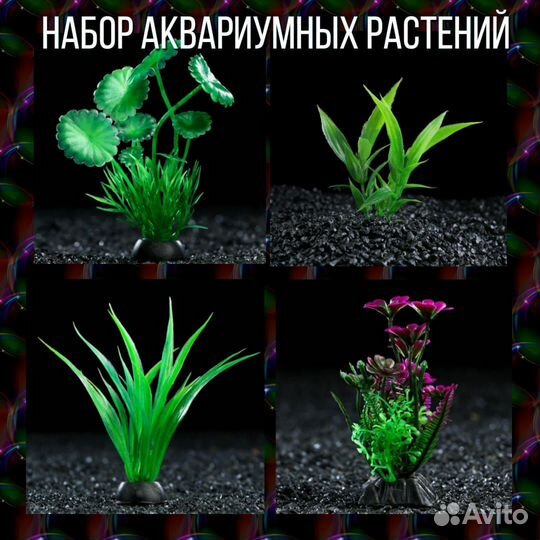 Набор аквариумных растений
