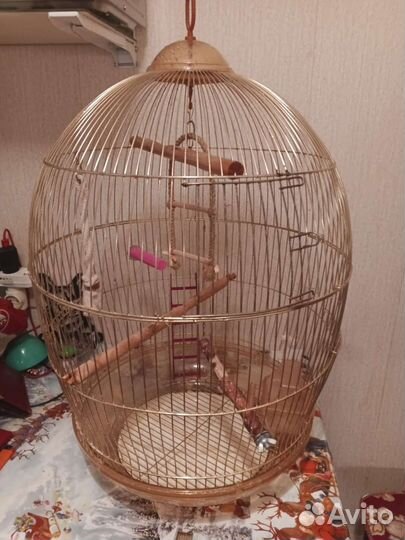 Клетка для попугая