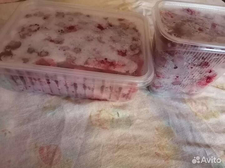 Продам свежею и замороженную малину