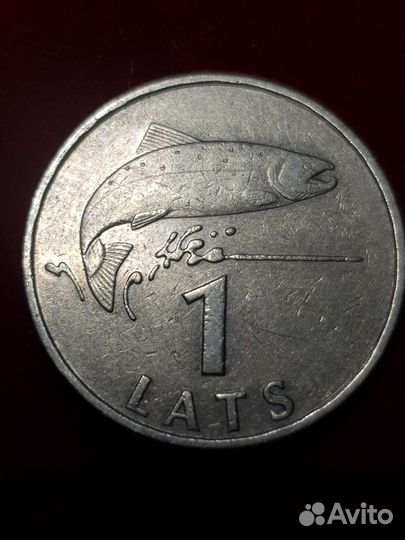 Латвия Италия Гана Чехия Аогентина