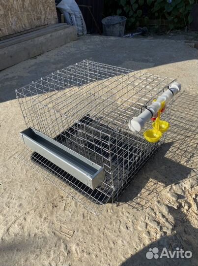 Клетки для перепелов