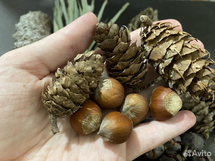 012- природных материалов