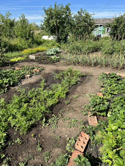 Участок 6 сот. (СНТ, ДНП)