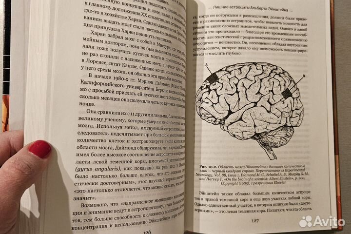 Источник мысли. Эндрю Куб