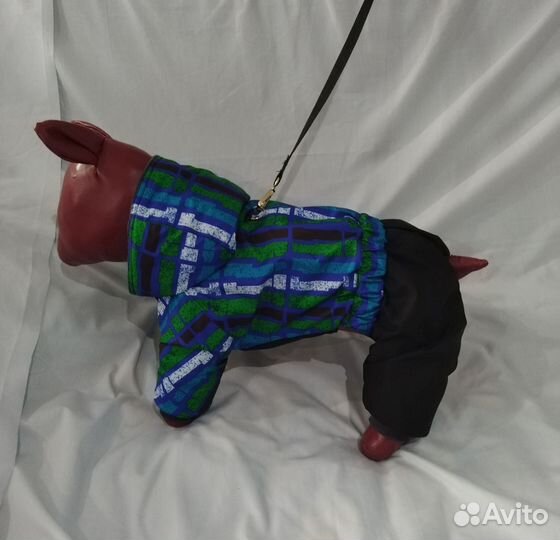 Одежда для собак, животных