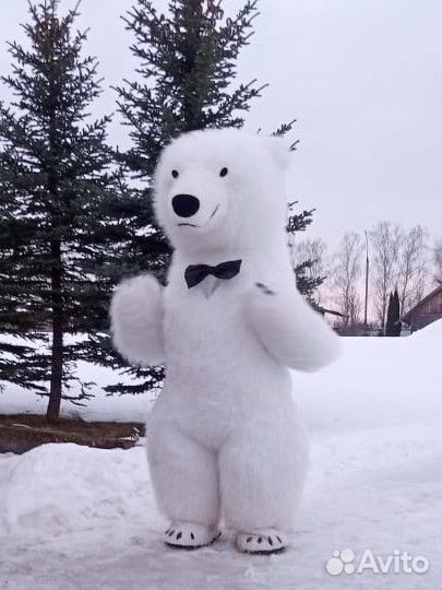 Белый Мишка, Зайка, Панда, Чебурашка на праздник