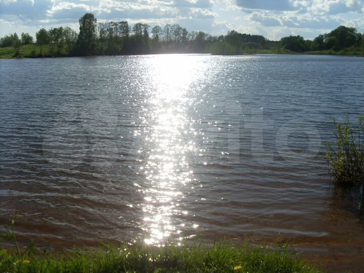 Участок 12 сот. (СНТ, ДНП)