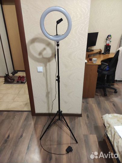 Кольцевая лампа (Аренда)