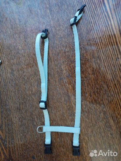 Шлейка для котят