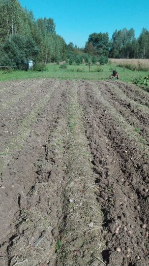 Участок 30 сот. (ИЖС)