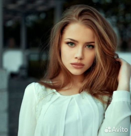 Авитолог / Директолог