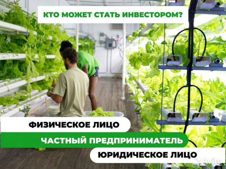 Инвестиции