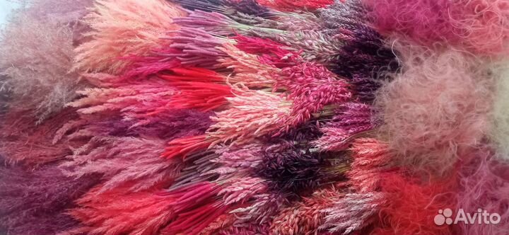 Сухоцветы для флористики