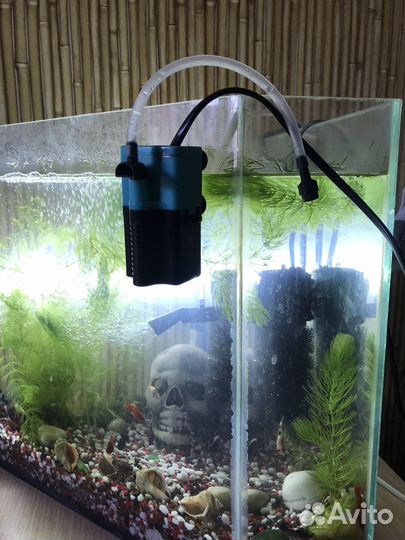 Фильтр для аквариума