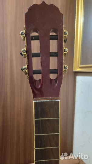 Гитара euphony ec-100twrs