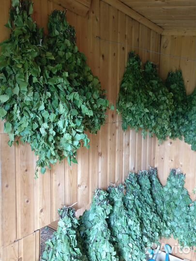 Березовые веники