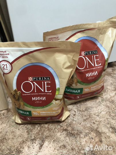 Сухой корм для собак мелких пород