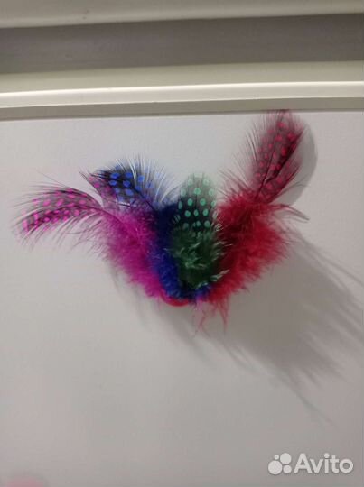 Продам магнитики с перьями на холодильник