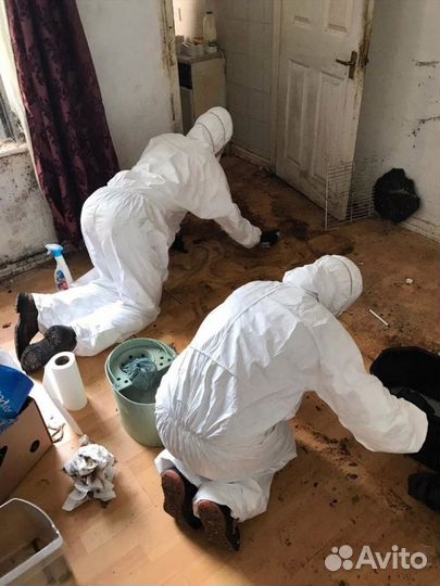 Уборка квартир, Генеральная уборка, Мойка окон