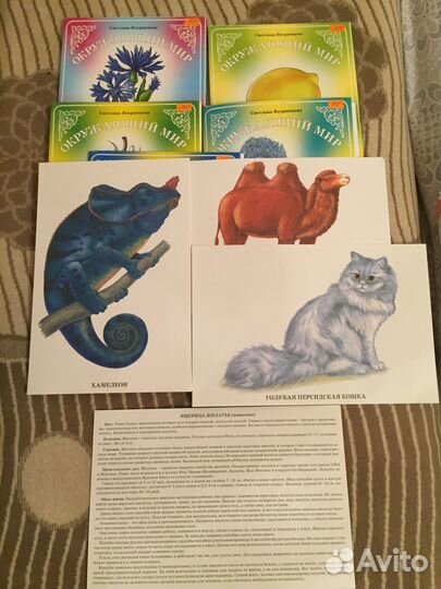 Книги учебное пособие